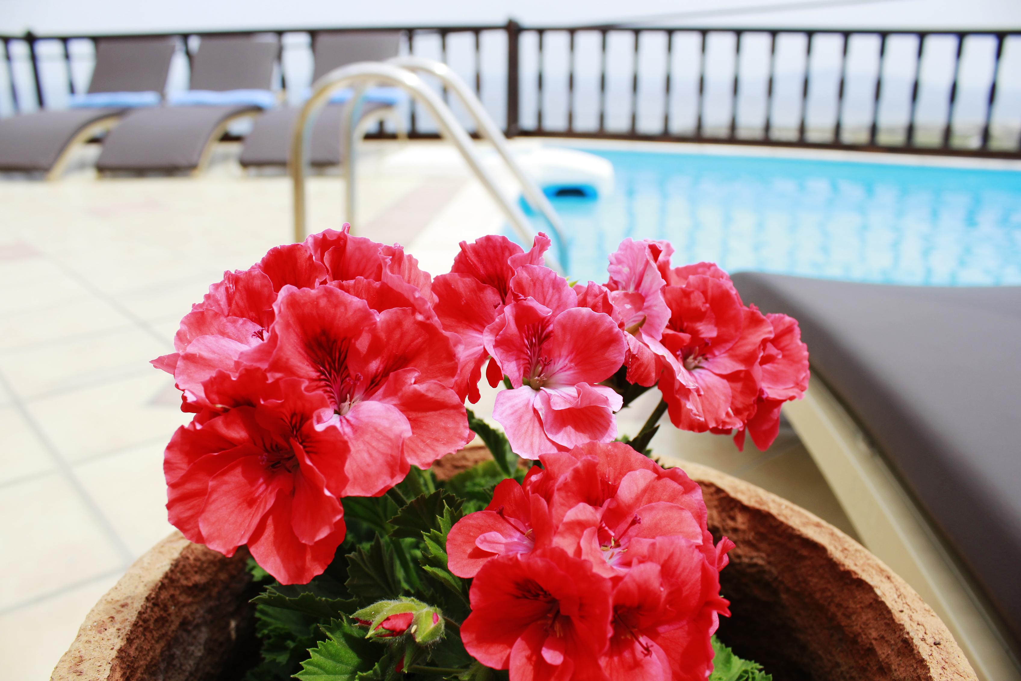 Amerisa Suites & Villa Fira  Ngoại thất bức ảnh